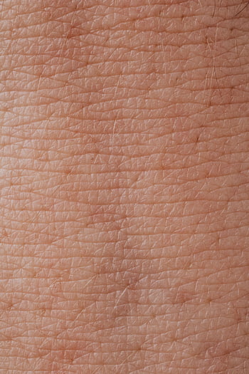 Detailed macro shot of human skin texture highlighting pores and epidermis. HD phone wallpaper
