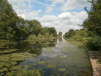 London Park St James s Park, larisa kinnunen, antti kinnunen, London, London Park, St James s Park HD wallpaper