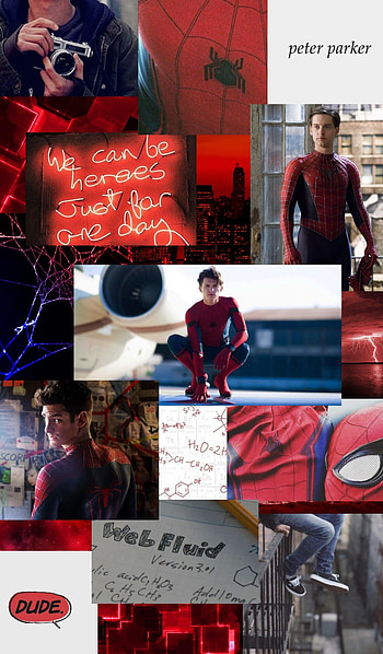 Spider-man, Tom Holland Spider man, Spider men, The amazing Spiderman, Spider man no way home, Spider man, spider man nwh, Andrew Garfield spider man, Tobay Maguire spider man, MCU, Marvel HD phone wallpaper