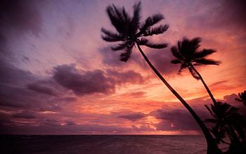 Sunset, sea, clouds, sky HD wallpaper