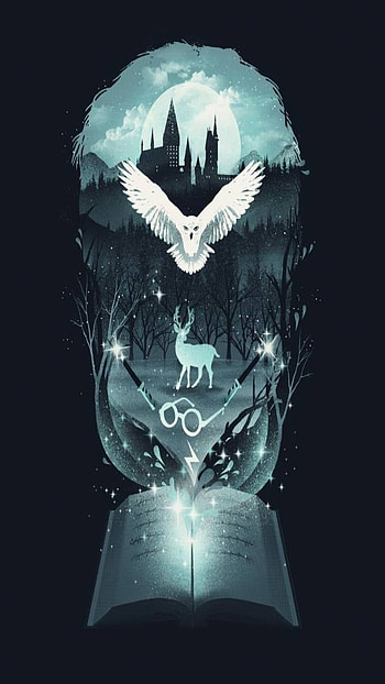 Harry Potter Forever, Harry Potter Dragons HD phone wallpaper