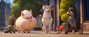 DC League of Super-Pets, Vibrant animation, Super-powered allies, Heroic battles HD wallpaper