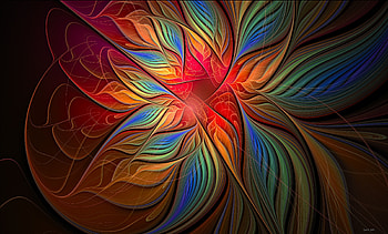 Abstract, Flower, Multicolored, Motley, Form HD wallpaper