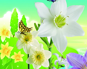 Beautiful flowers, white, flowers, butterfly, petals HD wallpaper