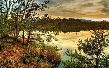 Landscape, Rivers, Trees HD wallpaper