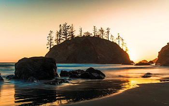 Trinidad, California, rocks, sunset, coast, sea, trees, usa HD wallpaper