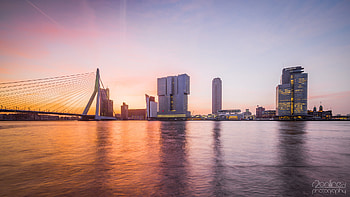 Rotterdam Skyline, Architecture marvels, Vibrant cityscape, Waterfront views HD wallpaper
