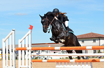 Equestrian, Sports, Show Jumping, Horse, Jump, People HD wallpaper