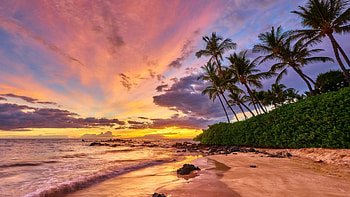 Maui Hawaii island, Clouds palm, Sea coast HD wallpaper