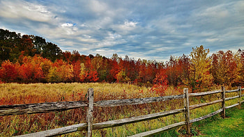 Other - Fall Forests Scenery Countryside Autumn Rural Fields Nature Best for 16: HD wallpaper