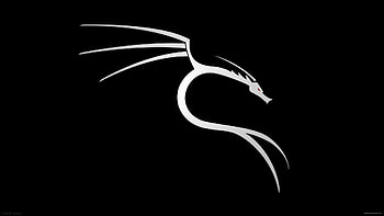 Hacker Backgrounds HD wallpaper