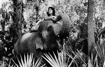 Mowgli, Jason Scott Lee, The Jungle Book 1994, Fanpop HD wallpaper