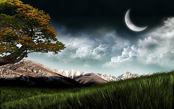moon over field, moon, field, hot, cool, nature HD wallpaper
