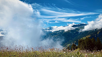 On top of Schynige Platte, Switzerland, wildflowers, landscape, clouds, sky, alps HD wallpaper