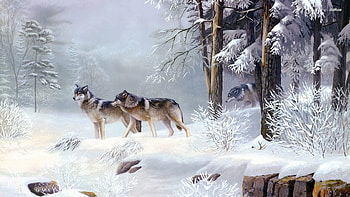 timber wolves, winter, wolf, forest, snow HD wallpaper