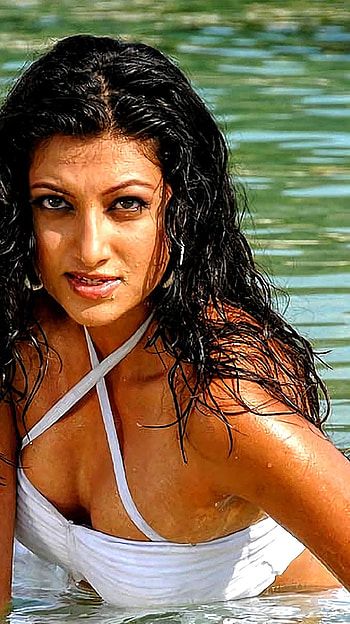 Hamsa nandini, telugu actress HD phone wallpaper