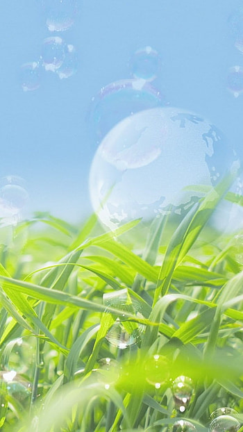 May Background, Grass Background, bubbles HD phone wallpaper