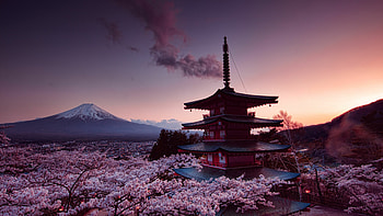 Churei Tower, Japan HD wallpaper