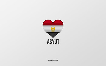 I Love Asyut, Egyptian cities, Day of Asyut, gray background, Asyut, Japan, Egyptian flag heart, favorite cities, Love Asyut HD wallpaper
