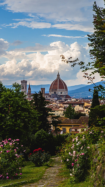 Italy's architecture, Ancient structures, Ornate facades, Artistic mastery HD phone wallpaper