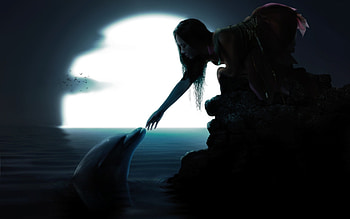 Moon birds dolphins long hair water ( HD wallpaper