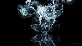 1 Lion Ghost On The Water | Backgrounds - Abyss HD wallpaper