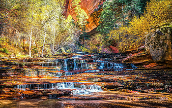 Zion National Park, parks, zion, graphy, utah, , nature, waterfalls, earthy HD wallpaper
