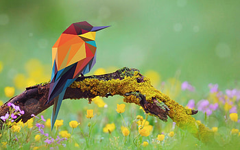 Bird Abstract Art, bird, abstract, artist, digital-art HD wallpaper