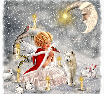 WINTER ANGEL, WINGS, SNOW, WINTER, CANDLE, FEMALE, ANIMALS, ANGEL, MOON HD wallpaper