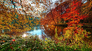 Autumn palette, palette, fall, beautiful, lake, leaves, branches, trees, autumn, forest, pond, foliage HD wallpaper