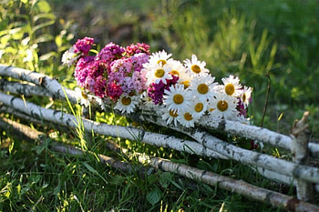 Still life, delicate, flowers, lovely HD wallpaper