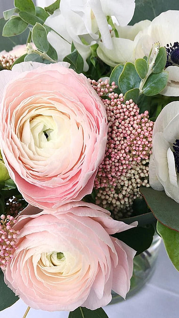 Beautiful Flowers, White Pink Flower HD phone wallpaper
