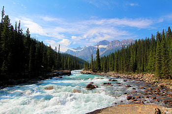 River, Canada, Forest, Banff National Park, , Landscape HD wallpaper