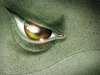 Fish Eye, stare, eye, green HD wallpaper