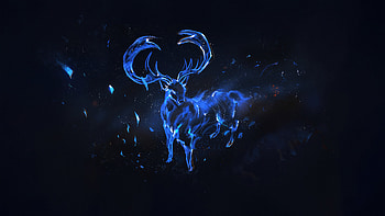 Reindeer Cervo Cosmic, reindeer, artist, artwork, digital-art, artstation HD wallpaper