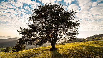 Romania sky light, nature HD wallpaper