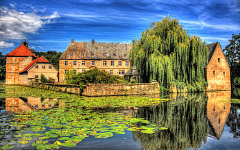 Country House, blue, colorful, architecture, beautiful, country, houses, lily, lake, green, clouds, trees, nature, flowers, sky, water HD wallpaper