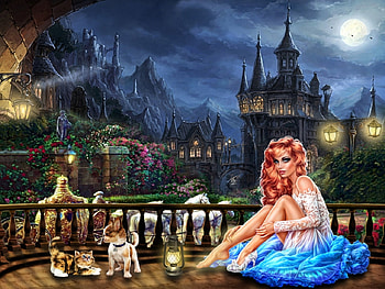 Cinderellas lost Shoe, dog, cat, girl, castle HD wallpaper