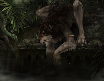 near the river, werewolves, wolves, near, rivers HD wallpaper