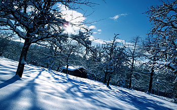 Winter, Nature, Snow, Shine, Brilliance, House, Garden, Drifts, Cover, Veils HD wallpaper