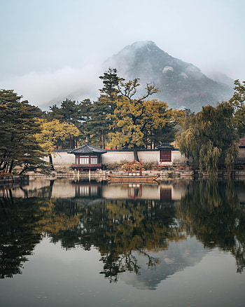Nature, Trees, Mountain, Lake, Bower, Alcove HD phone wallpaper