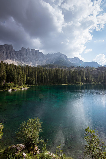 Nature, Trees, Bush, Rocks, Vertex, Lake, Tops HD phone wallpaper