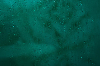 Rain, Drops, Miscellanea, Miscellaneous, Glass, Blurred, Fuzzy HD wallpaper
