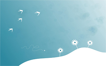 Nature, Flowers, Vector, Bird, Minimalism, Flight HD wallpaper