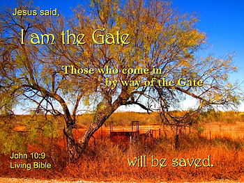 Jesus is the Gate, coral, ranch, inspirational, fall, verse, grass, Bible HD wallpaper
