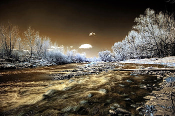 River, trees, river, winter, scenic HD wallpaper
