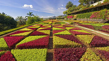 Madeira Botanical Garden, Flower Garden HD wallpaper