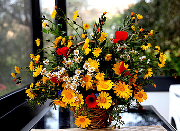 Flowers, Poppies, Camomile, Bouquet, Basket HD wallpaper
