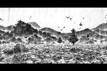 Vagabond : A Journey Through Rain and Nature, manga, Black And White Anime, Vagabond (Manga) HD wallpaper