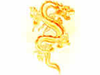 dragon, fire HD wallpaper